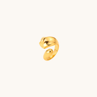 Anillo Nexus