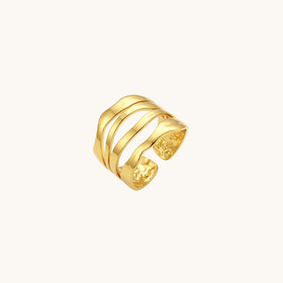 Anillo Damivi